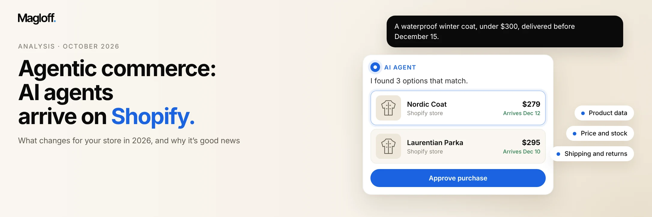 Agentic commerce: an AI agent recommends products from a Shopify store